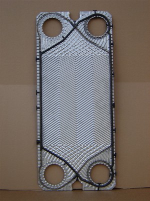 M10BW plate with gasket