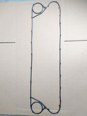 FP20 gasket